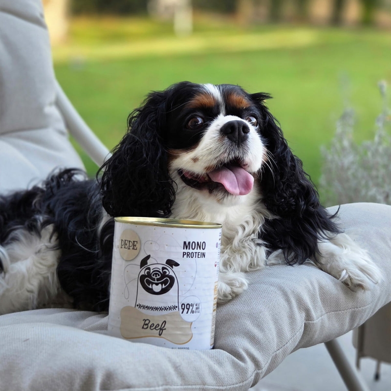 fc0f252ff071e0802c5e399f9923f910