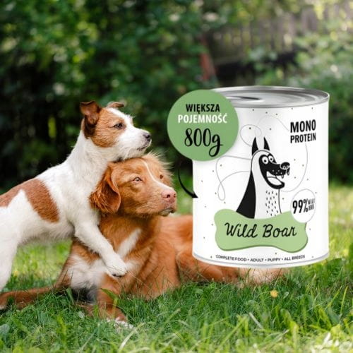 3490de2a1c0f93cf295b805eab6e8258