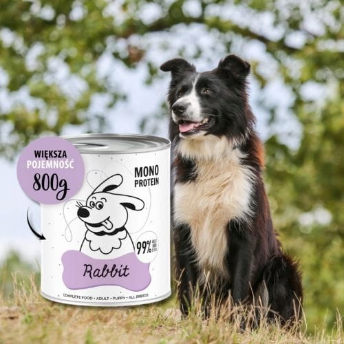 c9eb9539a8387c54c41e51551ae627ef