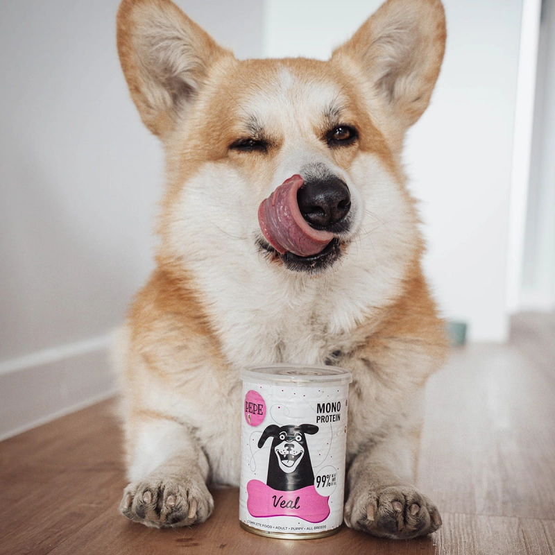 91e510c0677d8a368acbd04216a306ac