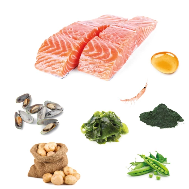 Sucha karma dla psa Fish4dogs Superior Senior Łosoś Rasy Małe 3.jpg