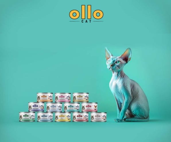 a4487ac2d242a88747c8ced3b56247cf