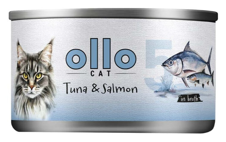 c01281bc952c4c7c6d3f40f5ed3df81d