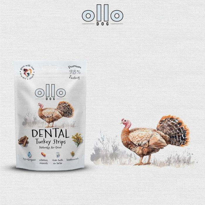 01e4fc9dcbcc63dfe220cf867c720e48