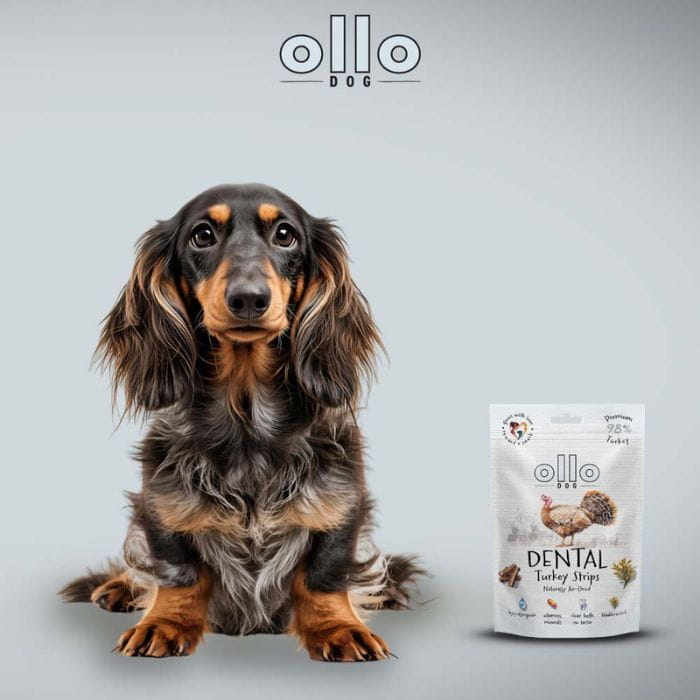 95672aa4daadc8b4f073d1b7fbe02027