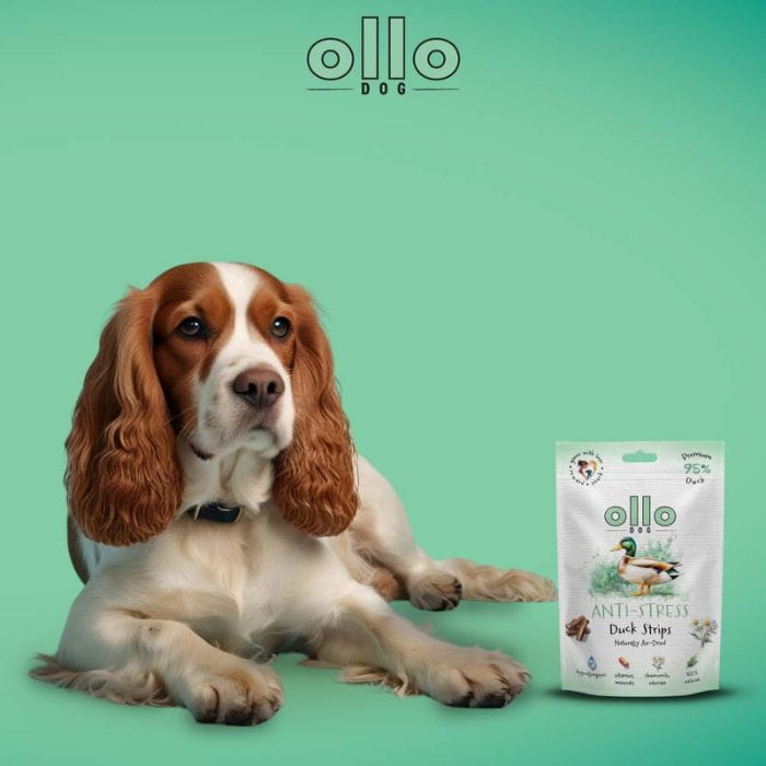 3053d2cd83f338c1c3857d28137b729e