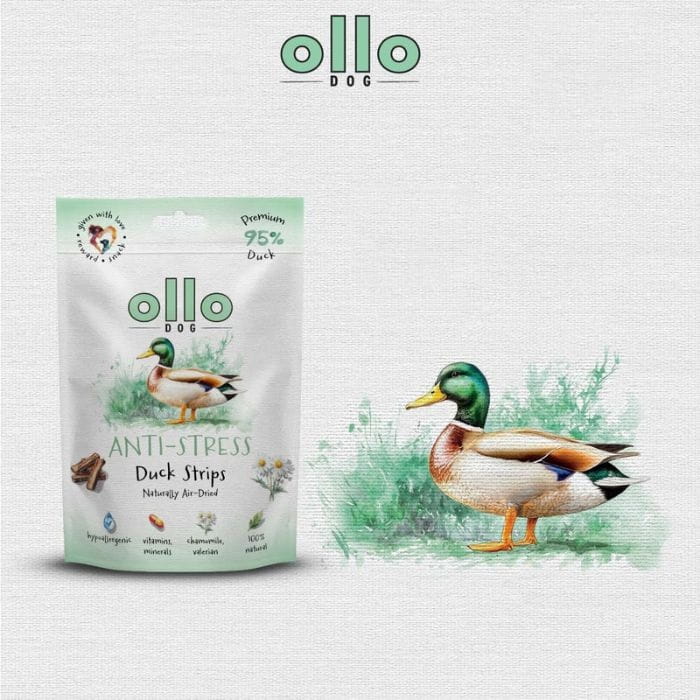 0e794aeaf332907fca4a0779c0a31547