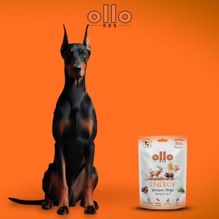 ec3e99a5494968c94b2d314ca9d4fdf2