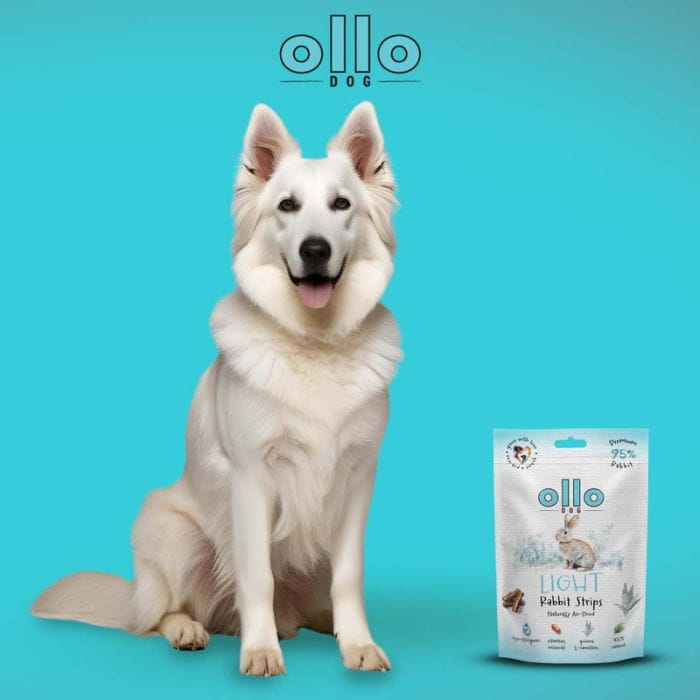 5f6c87077365ea4b5e4168a112d45662