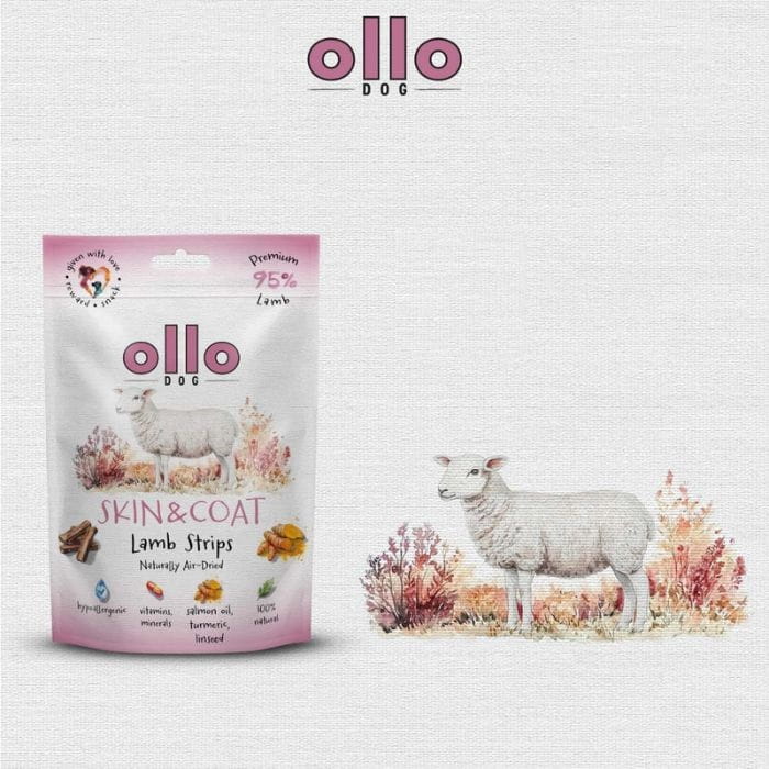 8f9e2b3a62890b816a55827395e48bba