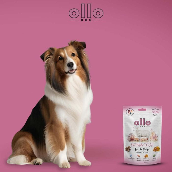 78bf219f5b0684cc4a92dee0337bc4bc