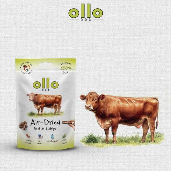 9851d00fdf652e28662a1a16b45533d1