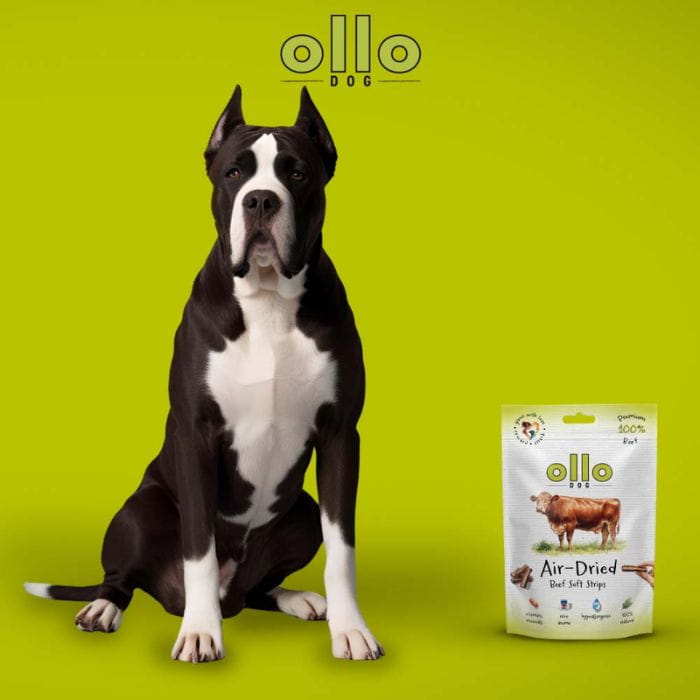 511cb6bd75de99a9c124abfb46f2fca5