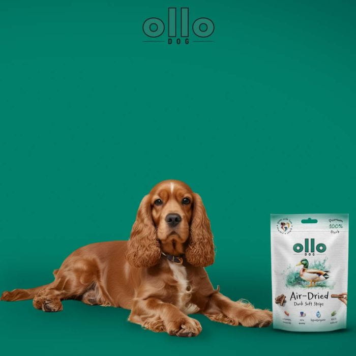 fc86fa6d664c7c80c00b98d0c6ba8578