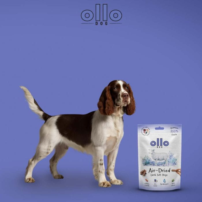 045b36e357c808ec15b307e06ec0ad64