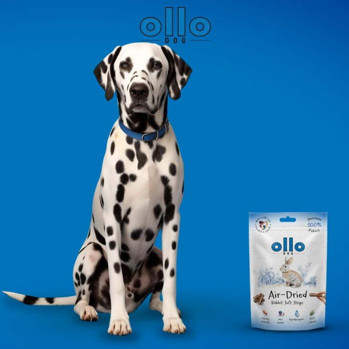 22e5000e83fd090616ca4f00f4b3dbea