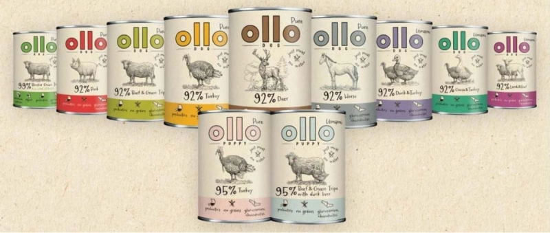 a218989b1bc5680c59d83466d7807a00