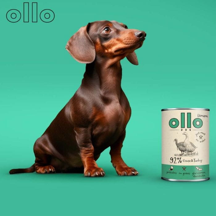 fde1e7d773fd56bd3a8e758d90c5948f