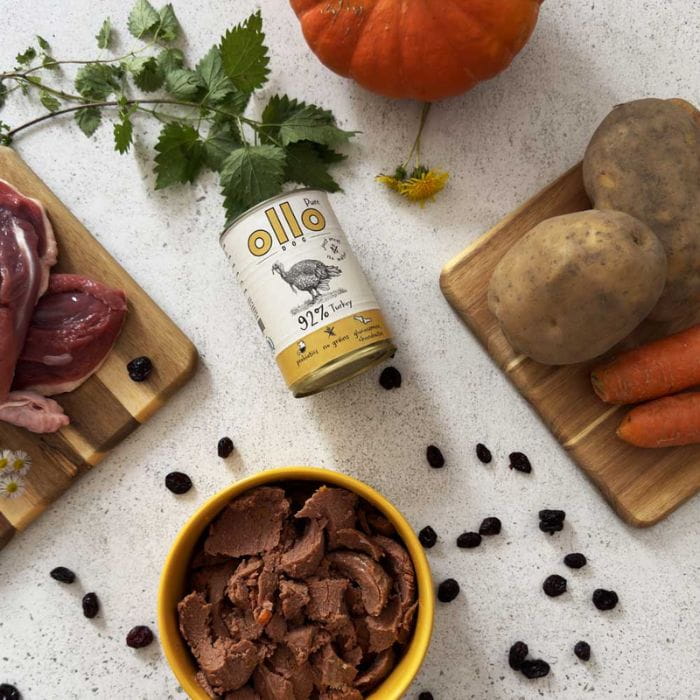 b58543ce0b185cf375d3ee9127879e87