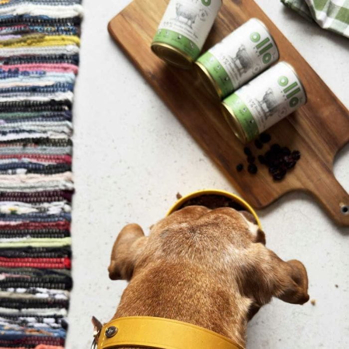 20497609183ae31f7461f314550a67ee