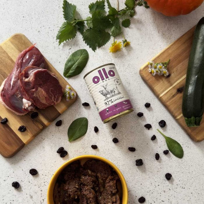 6d9b46e97809841113c79a81322432a0