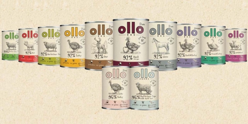 d419844ce9f5617471ed263a4ead08bd