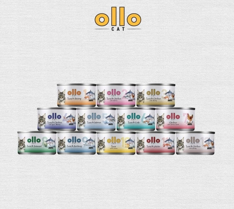 007ddc05c31faff1da35603bdb2565b4