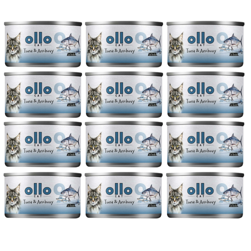 e77872ed1bed83f6a6d07d45ef4549b6