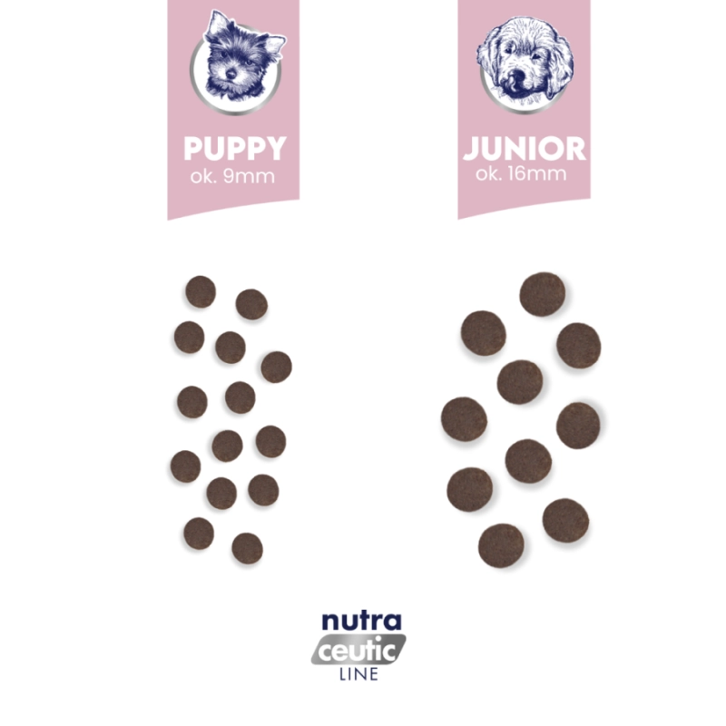 77f8603d91d0cacebc34167f02edf99a