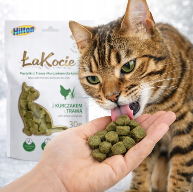 Zrzut ekranu_25-3-2026_131529_allegro.pl.jpeg