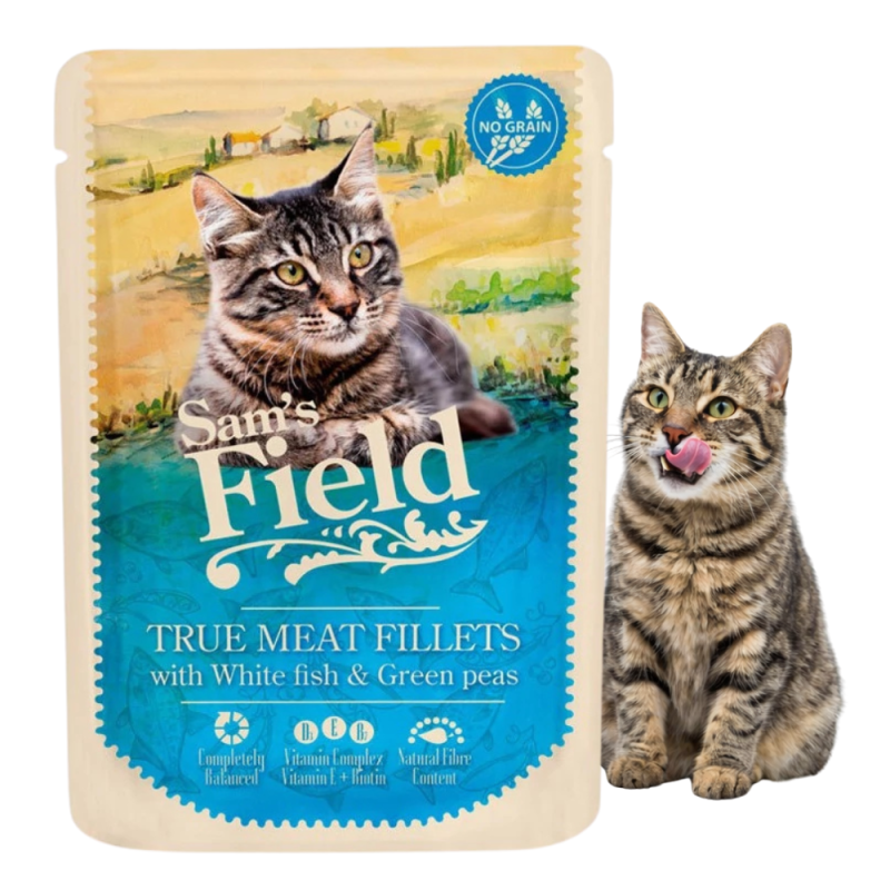 5f067b6e8a93750430597da65b3e5f31