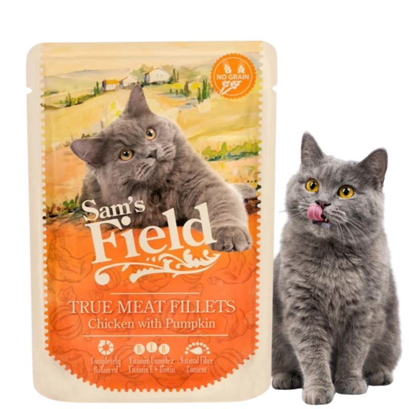 b8dda1c56a6a25b829138e6fe5eb0527