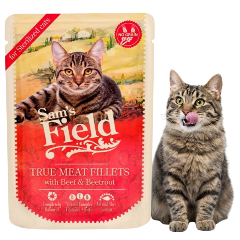 df1cd97ace6710218b1fb144bbc5adf4