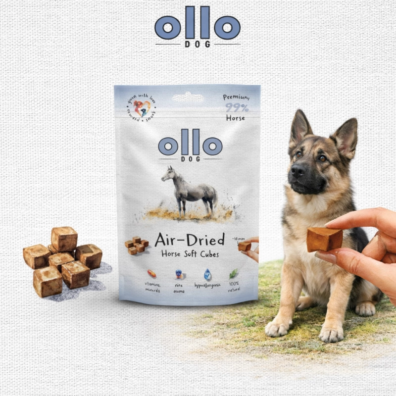 81c3f0bf5905020be85436908c1b4889