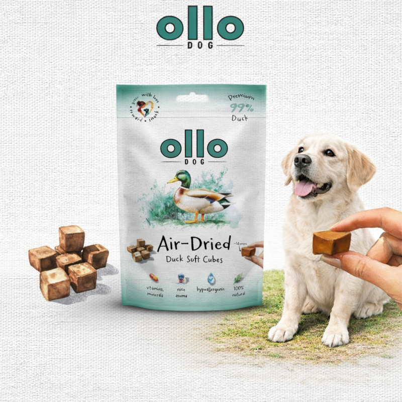 bf5e363cce6a0f9d5f640a41c92c4c61