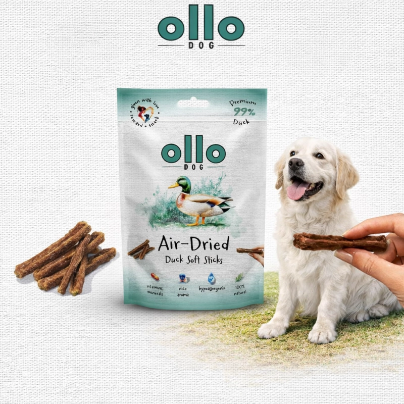 e6b388a11e3437e97eaf9af0ccfd3fe5