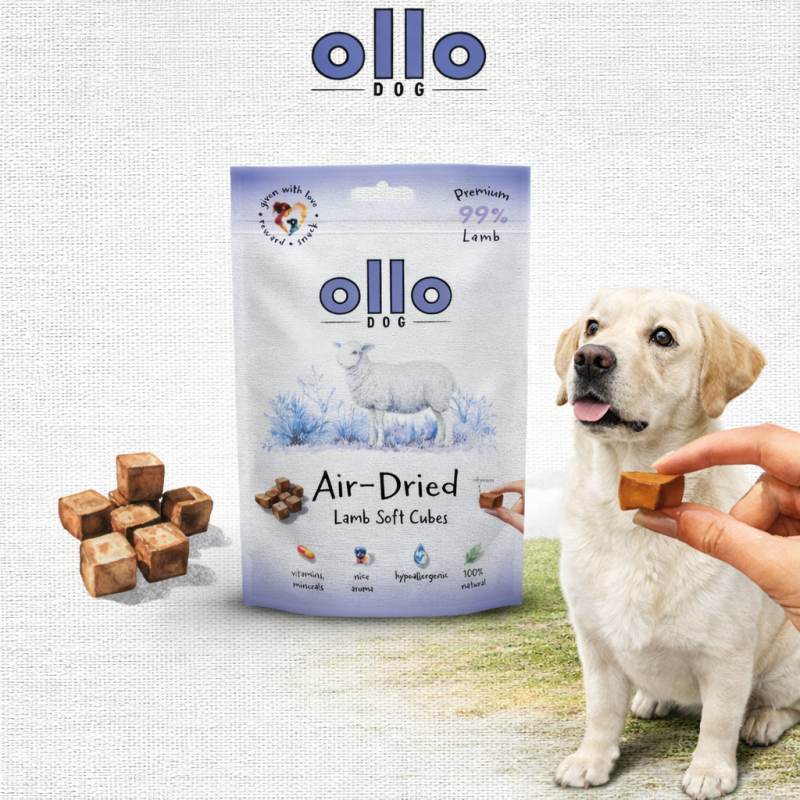 21df2319628e4b3ce4b4b45395ed7bb6