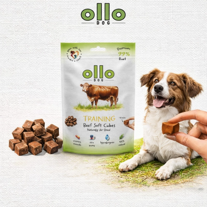 45e1c2166b69661434c29ecf1f54dac4