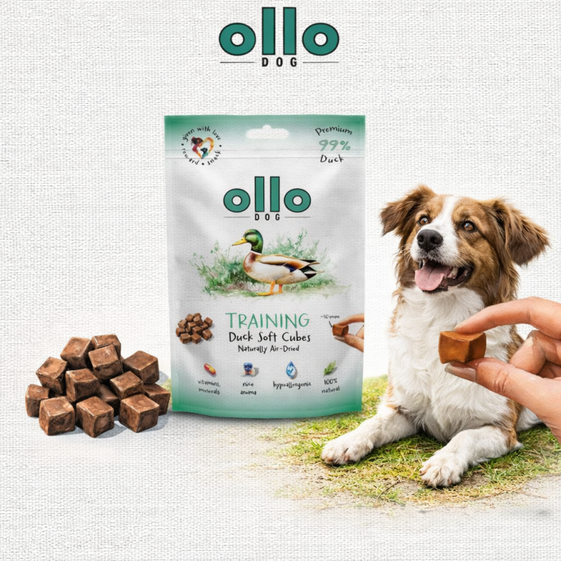 8949cdbb0be55b8bfb3db75aa2880f7b