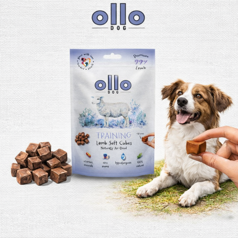 9e00e4110949746aaa2a0329250ca9e2