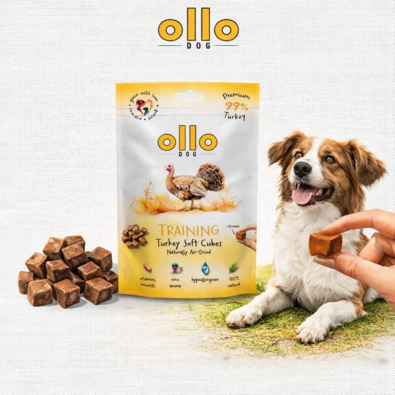 c197f81f659de3cd2c1128124012aad6