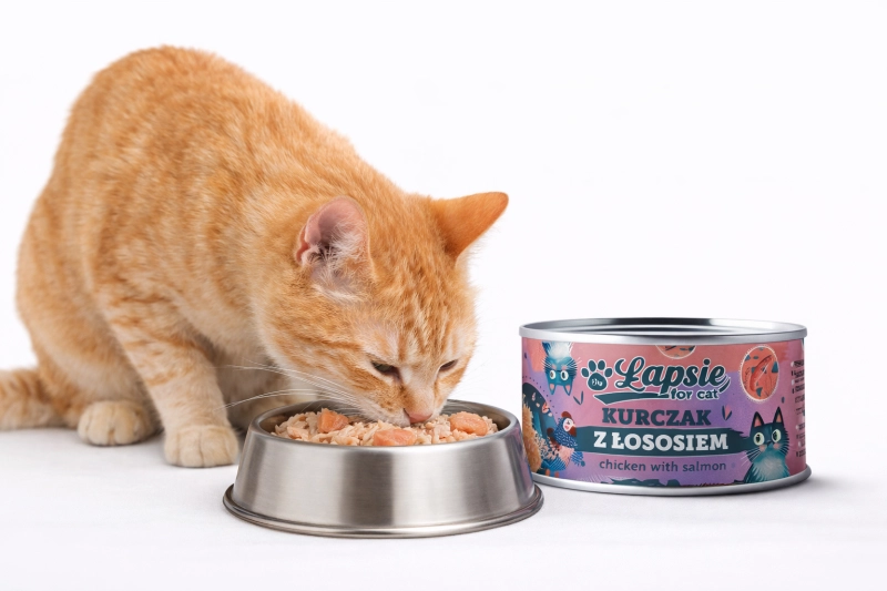 cfe2f919dced13818c33ea2fb12f618c