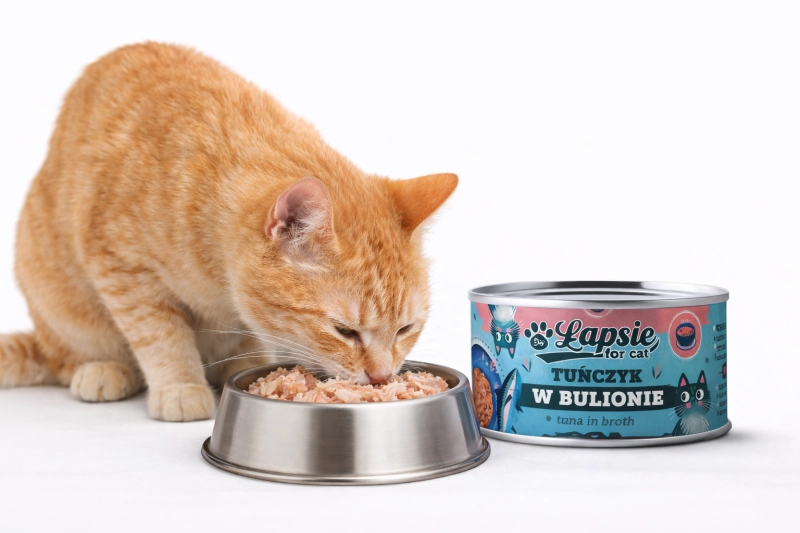 79a8371e41853ae3d2c81217bcccd175