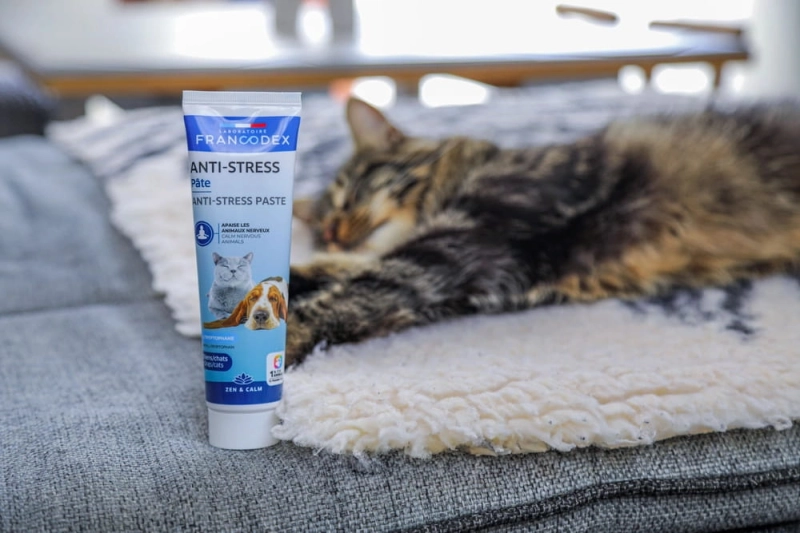 8842e67aafe8862f0ba8971aa472f8e1