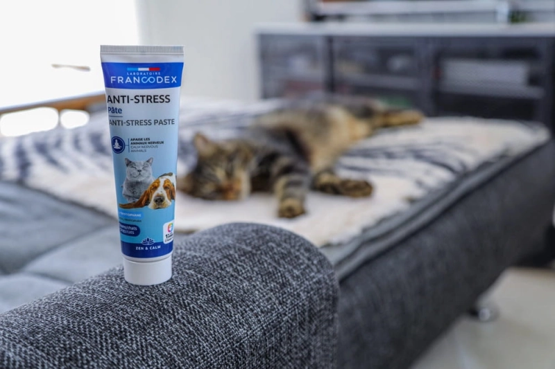 5f502335b807490a22a485da33439669