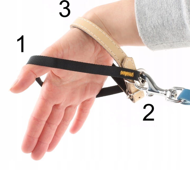 6d2fa4bf22d125cca8001716b2f099c4