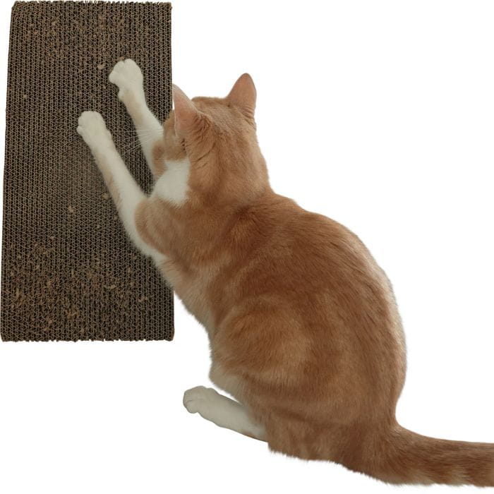 9e4e6734f674b6b0a22d97dafe29219b