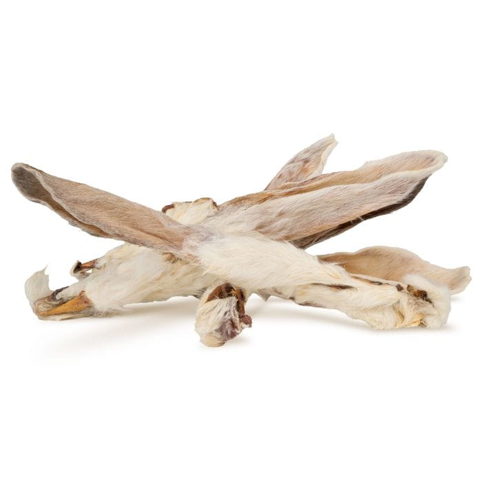 b9b51690ad87e8da896b51f61d422875