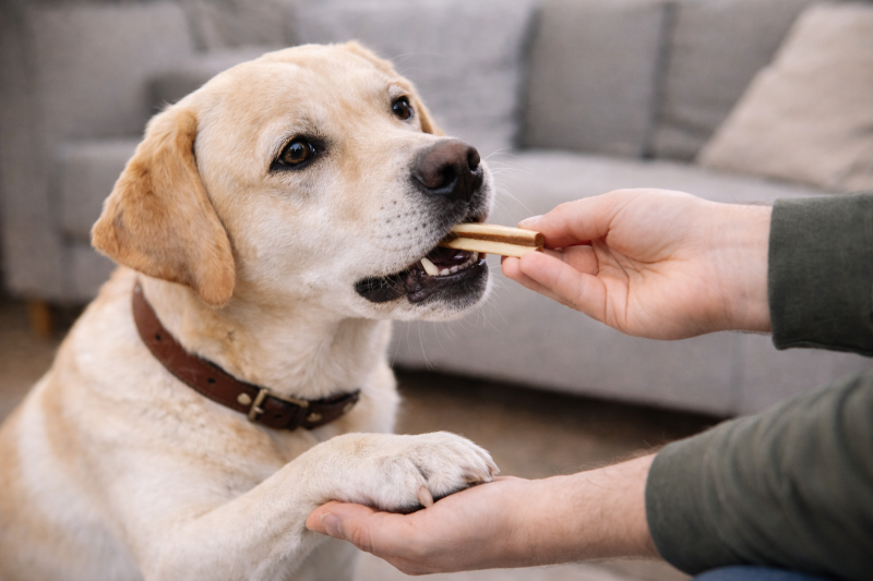 d734d23ecb0db94dbc9bcc97373e2b54