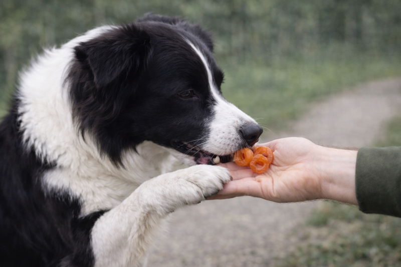 efc2c587fe09abee6c0949353d705655